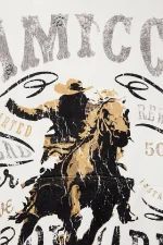 Amicci Outlaw Graphic Hoodie (2)